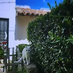 Cool Cat House
