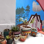 Mala Hierba