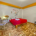 Native Soul Guesthouse