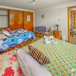 Native Soul Guesthouse