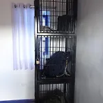 Haku Hostel
