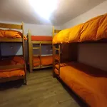 Flying Dog Hostel Cusco