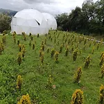 Domos Cusco Glamping & Nature Lodge