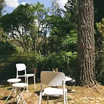 The Tree House