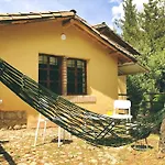 The Tree House