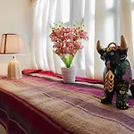 Charming And Quiet Apart In Cusco