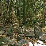 Checcollo Bungalows