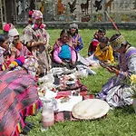Ayahuasca Comunidad De Chamanes Del Peru