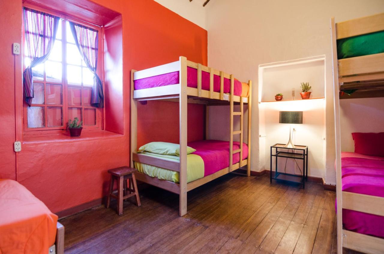 Albergue Dragonfly