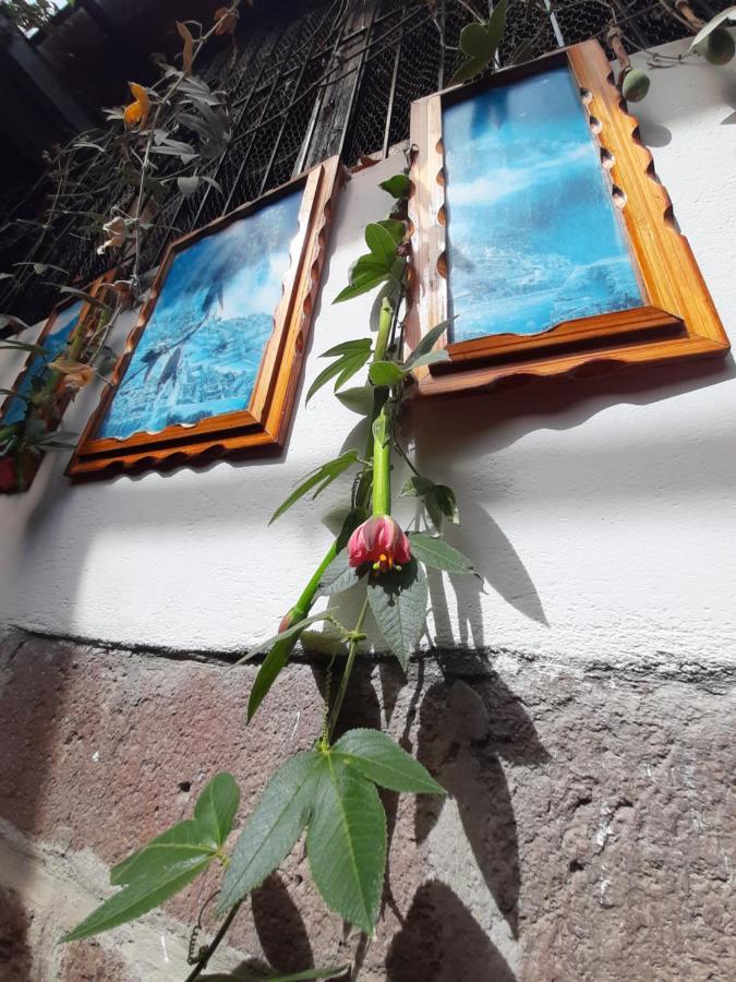 Guest house La Casa De Laura - Plaza *