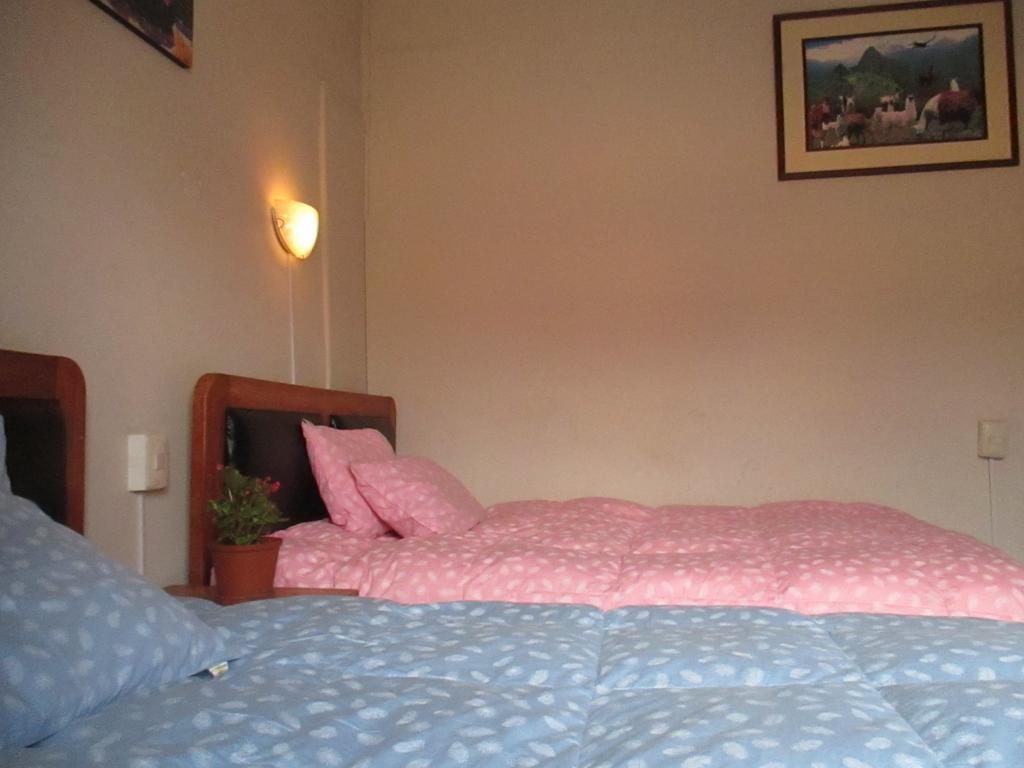 Peruvian Bed & Breakfast