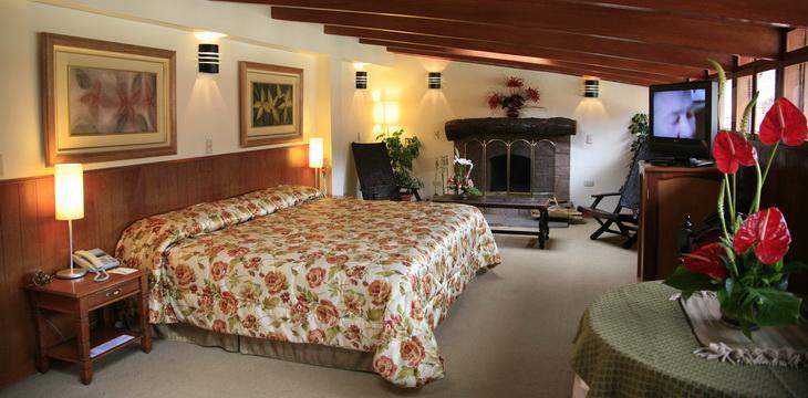 Hotel Ruinas