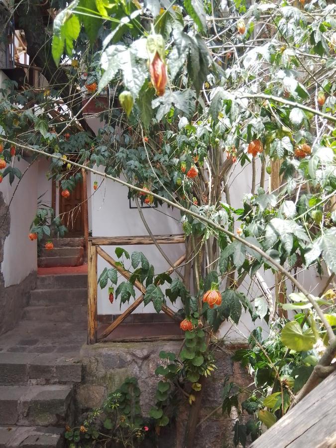 Casa De Mama - The Treehouse 3*