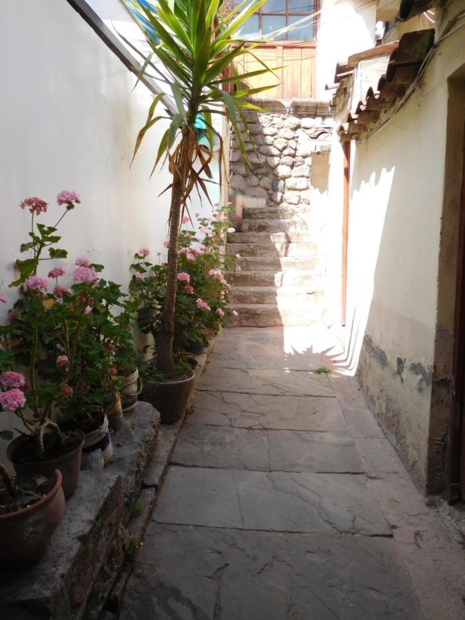 Mala Hierba Hostel *