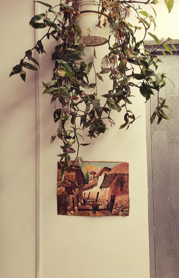 El Hijo Del Sol Casa de hóspedes *