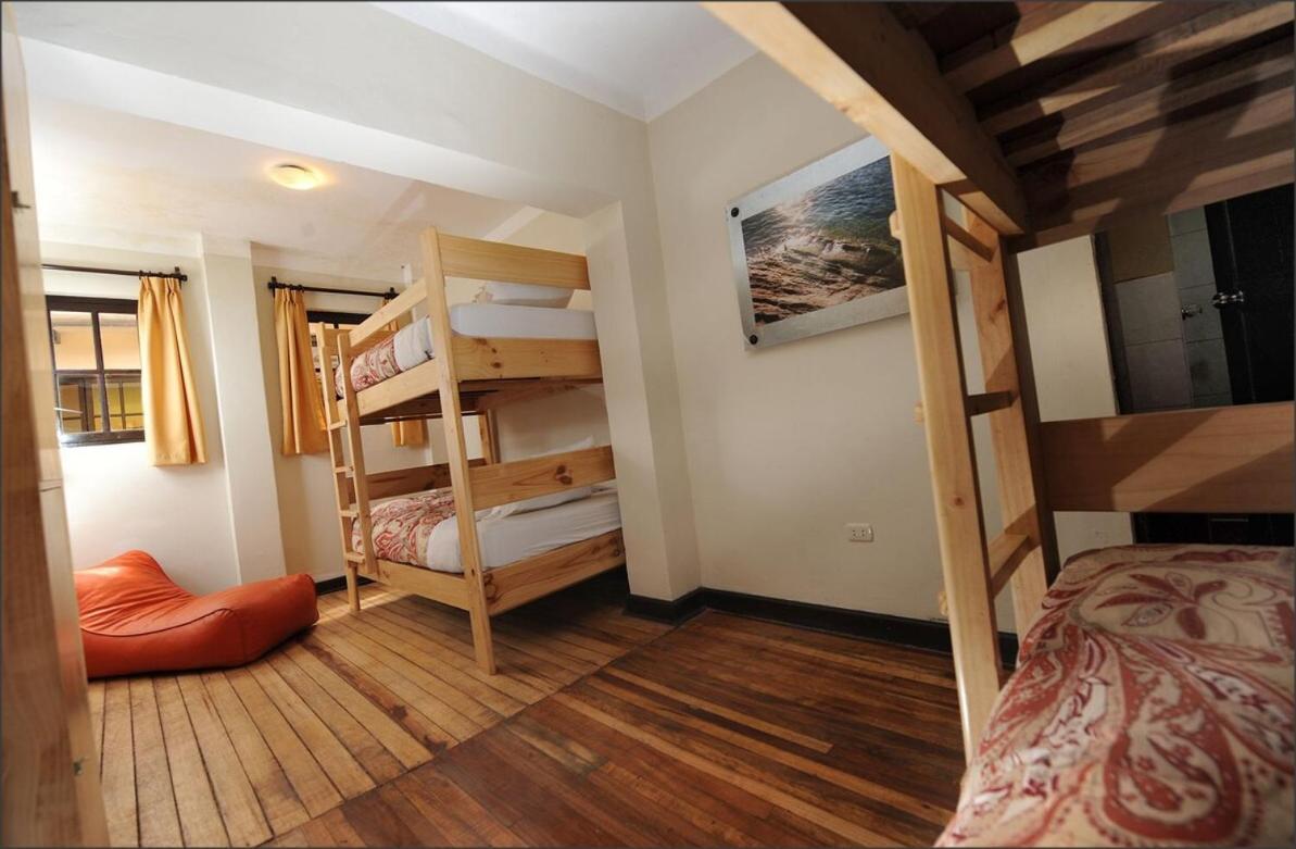 Hostel Bear Packer
