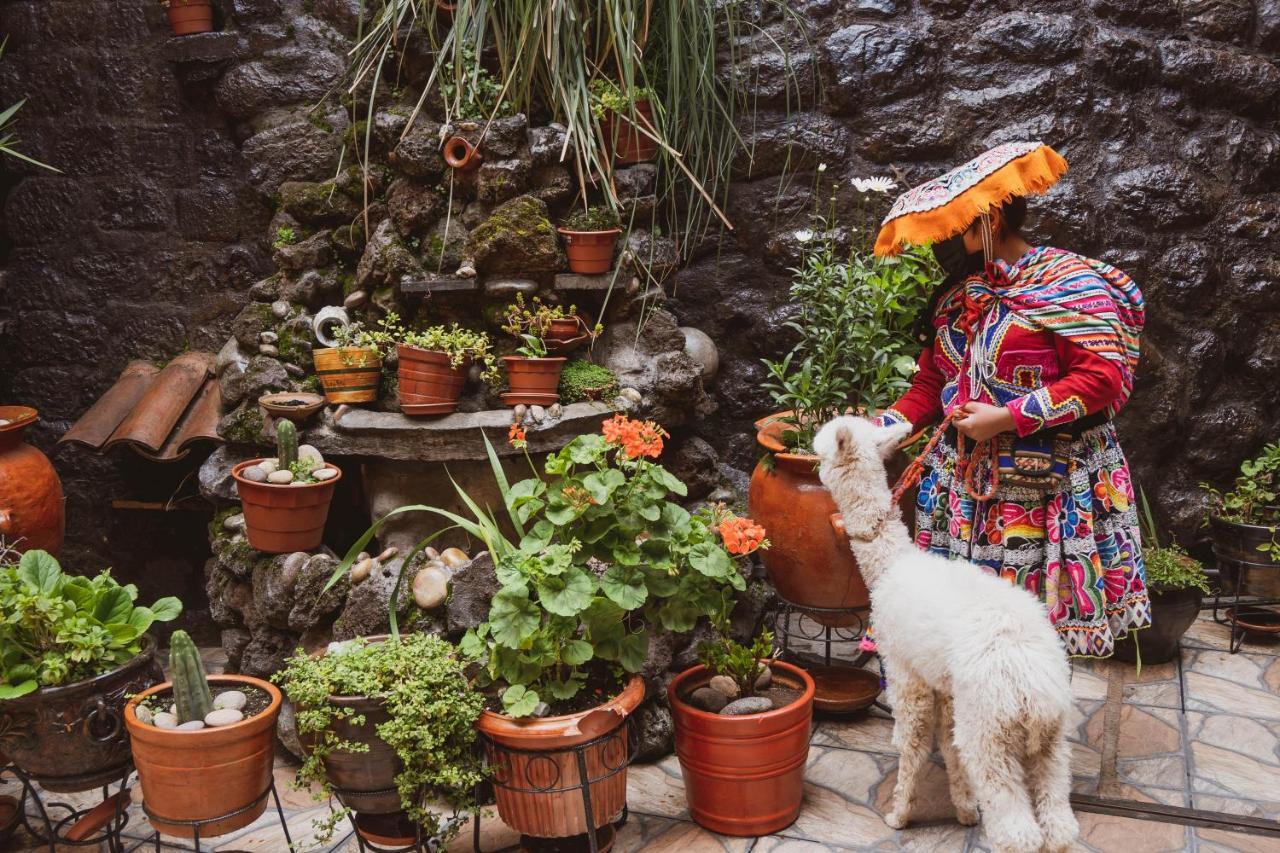 House * Cuzco