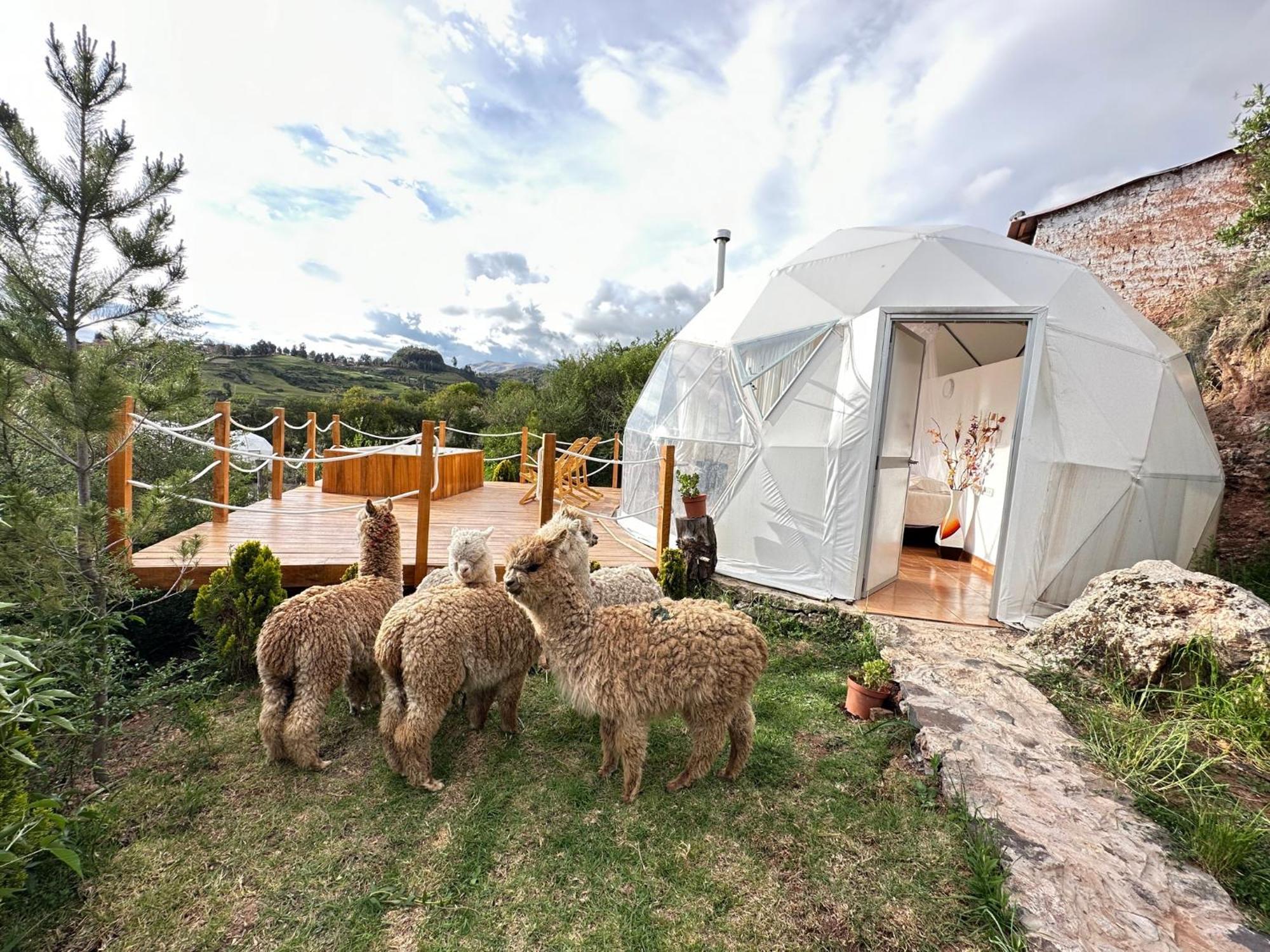 Sky Domes Luxuszelt *