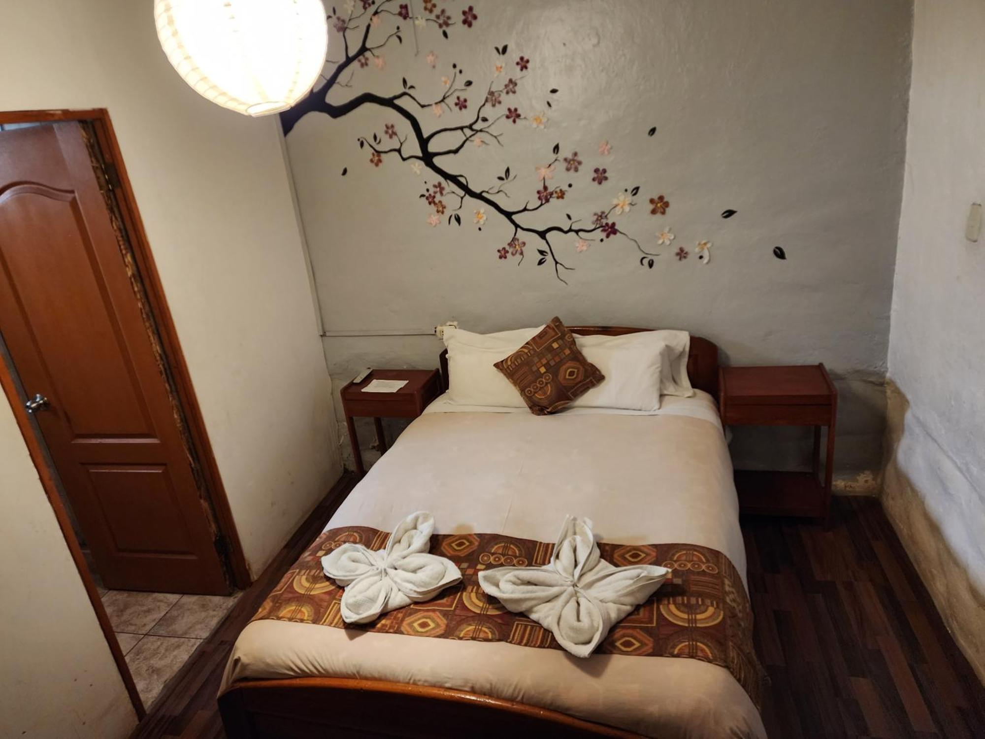 Pirwa Backpackers Colonial