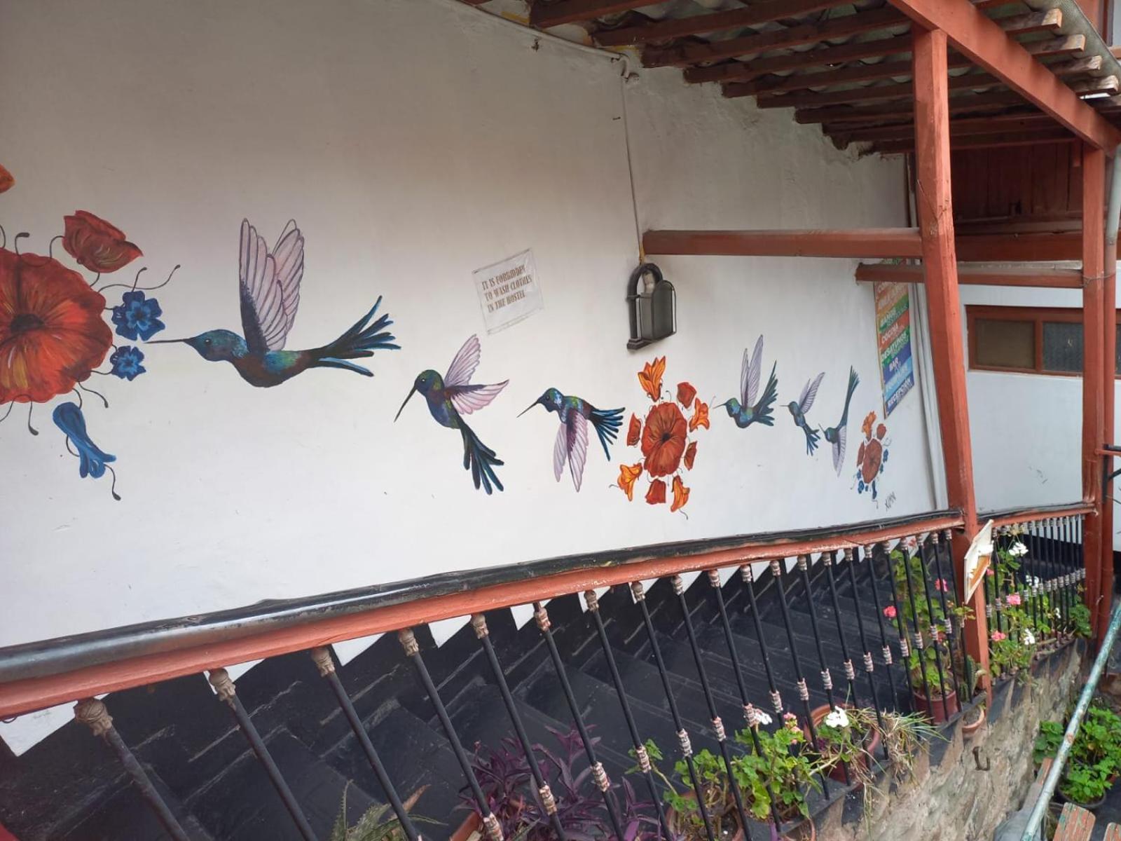 Pirwa Backpackers Colonial