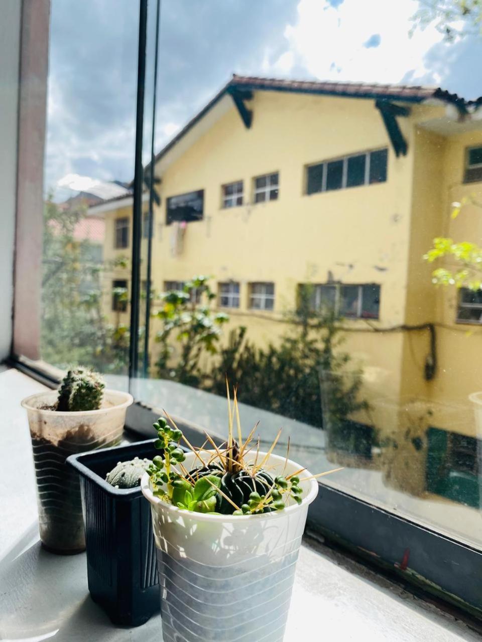 Apartment Departamento De Steph Cusco