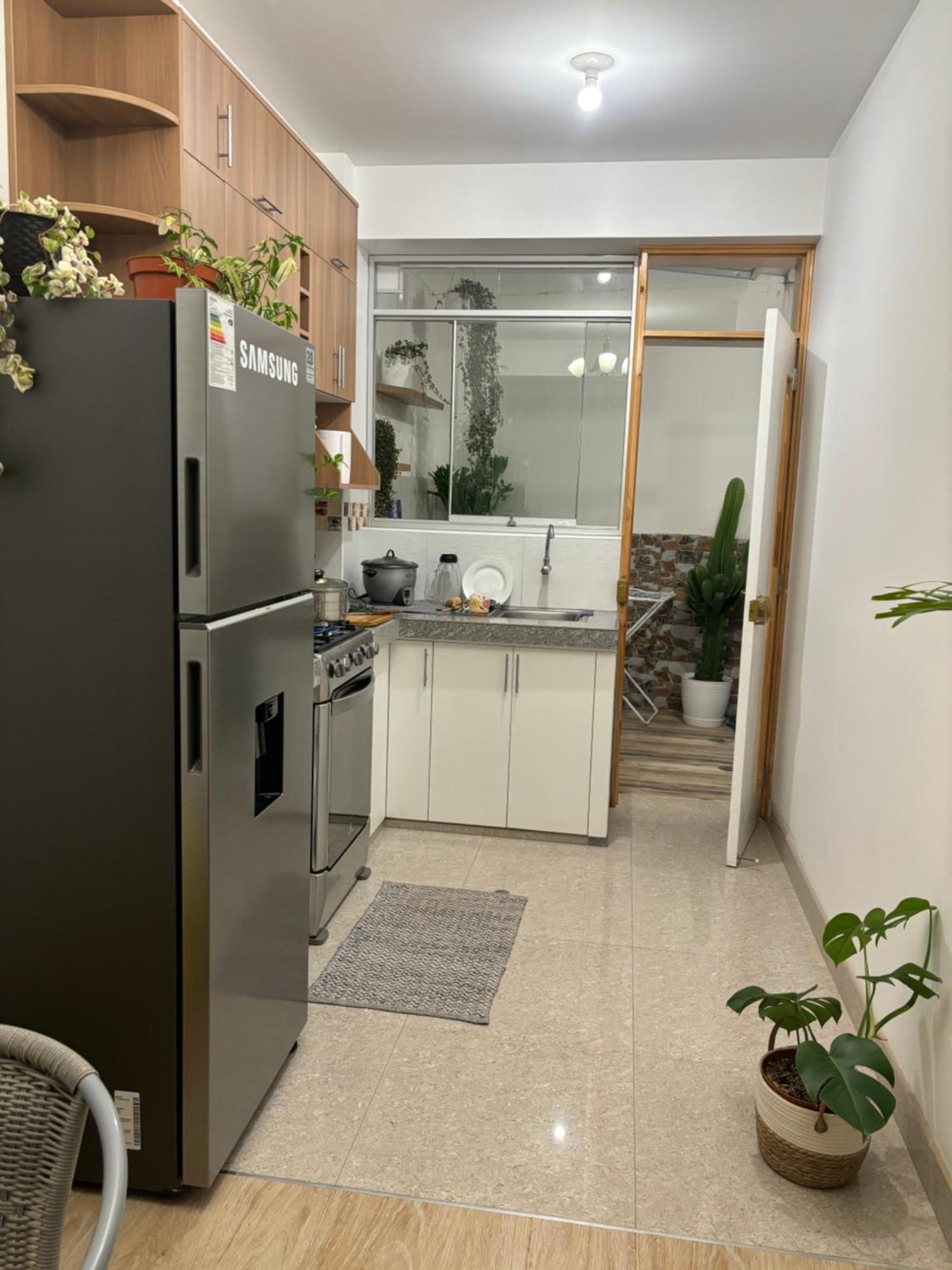 Acogedor Full De Plantas *