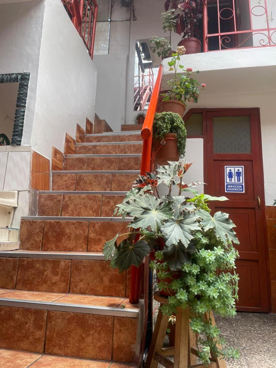 Jimy's House *