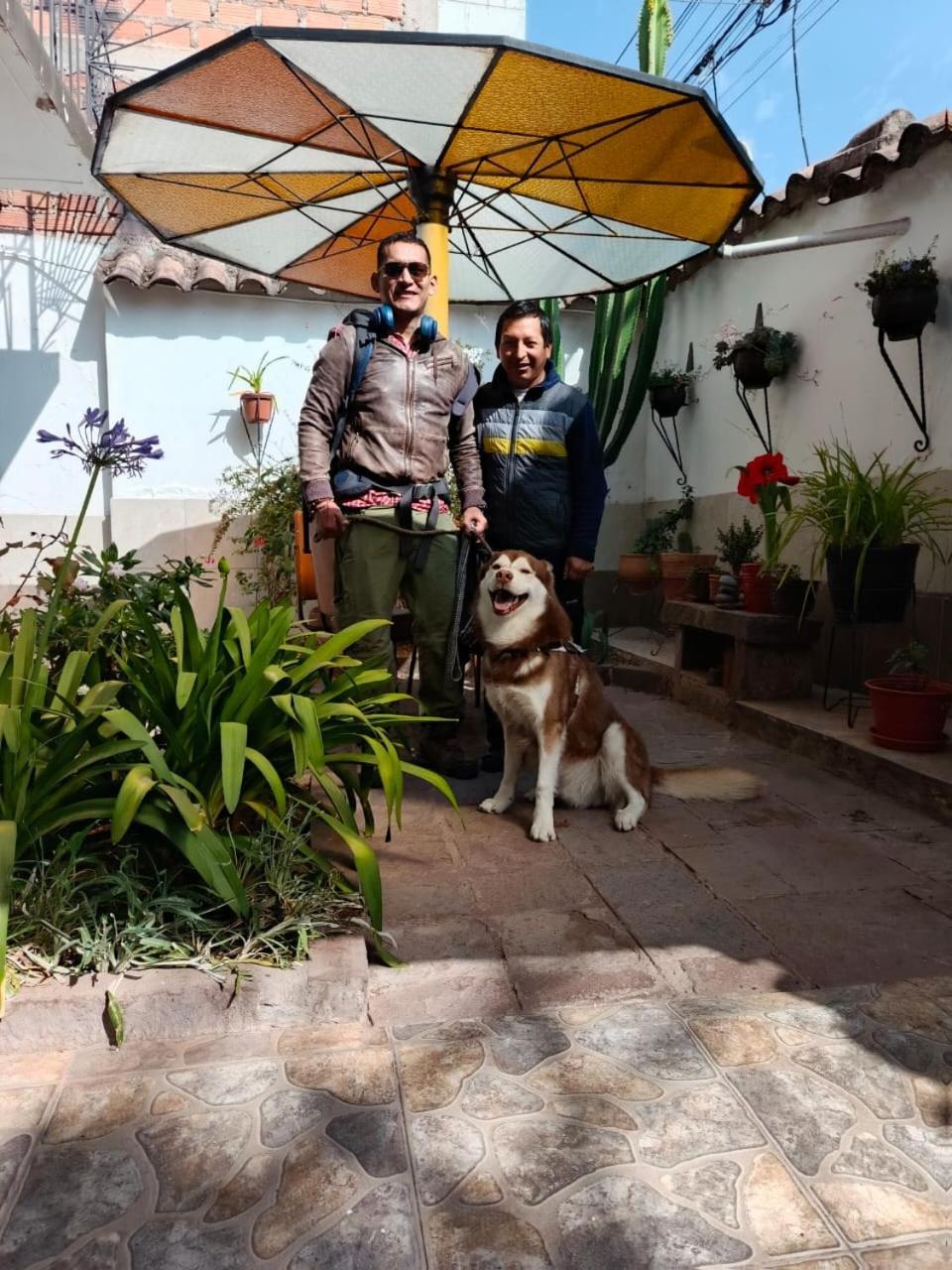 Casa de hóspedes Don Andre House Cusco