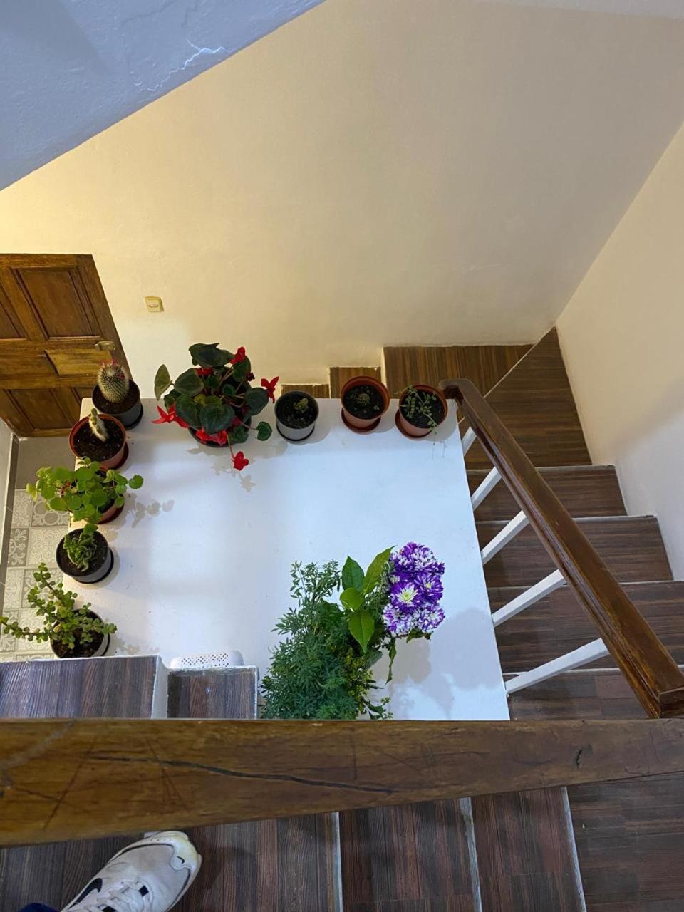 Hotel Plaza Del Inka Cusco