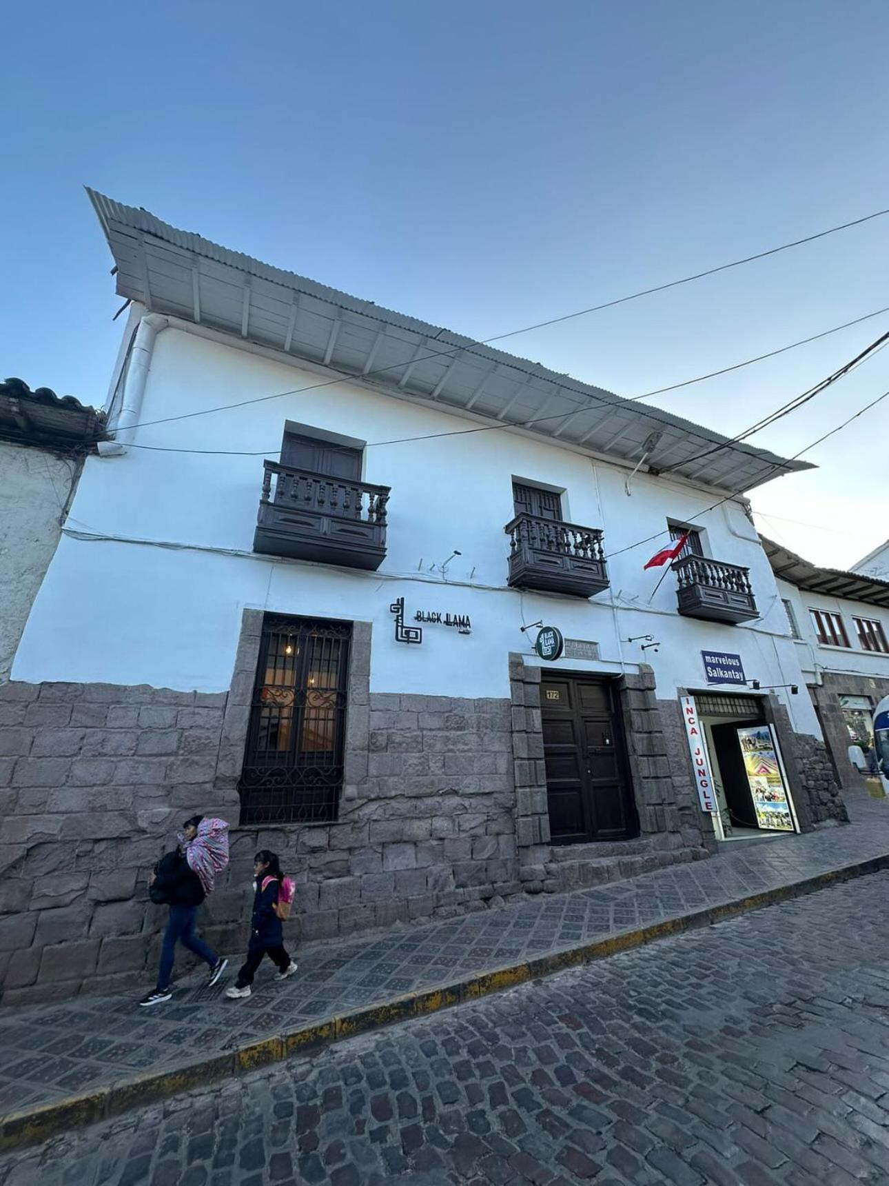 Black Llama Hostel *