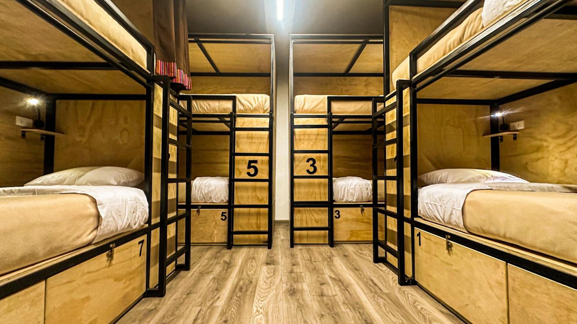 Hostel Black Llama *