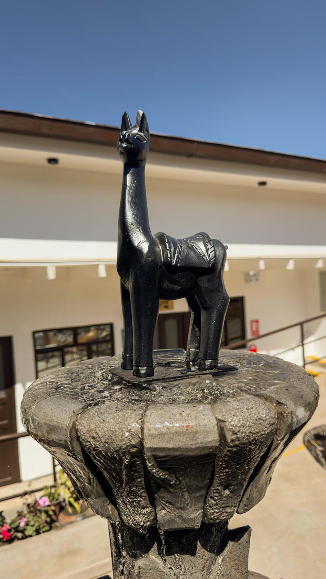 Black Llama Hostel Cusco