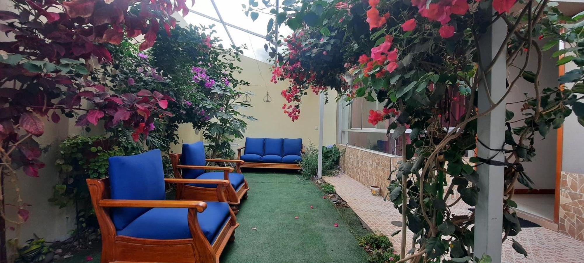 Departamento Con Patio Y Centrico En Apartment