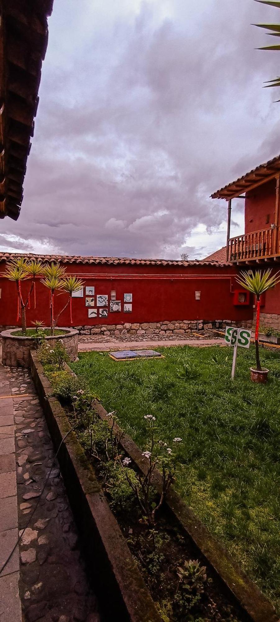 Loki * Cusco