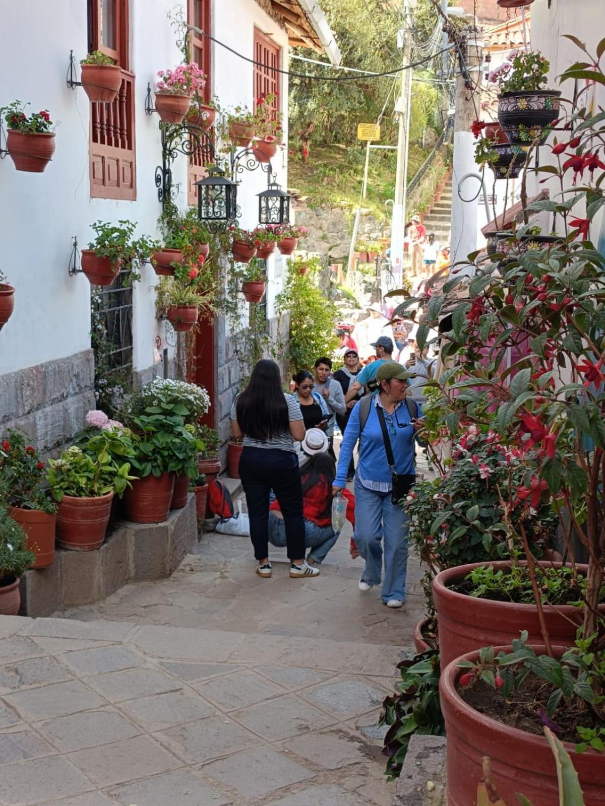 7 Borreguitos Guest house