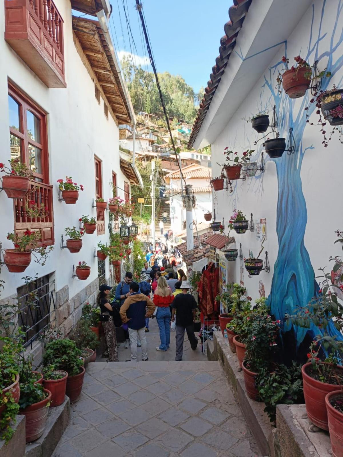 7 Borreguitos Guest house *