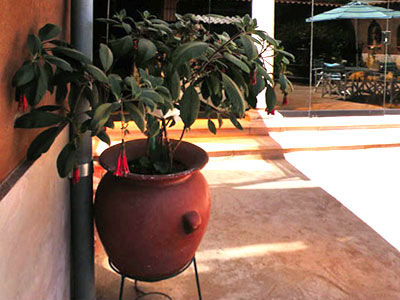 Fuente De Agua