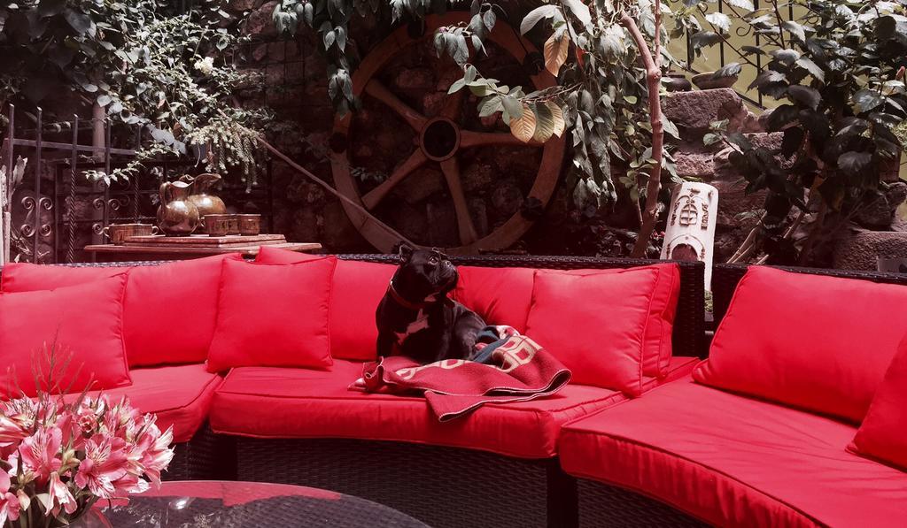 Blacky And (adults Only)