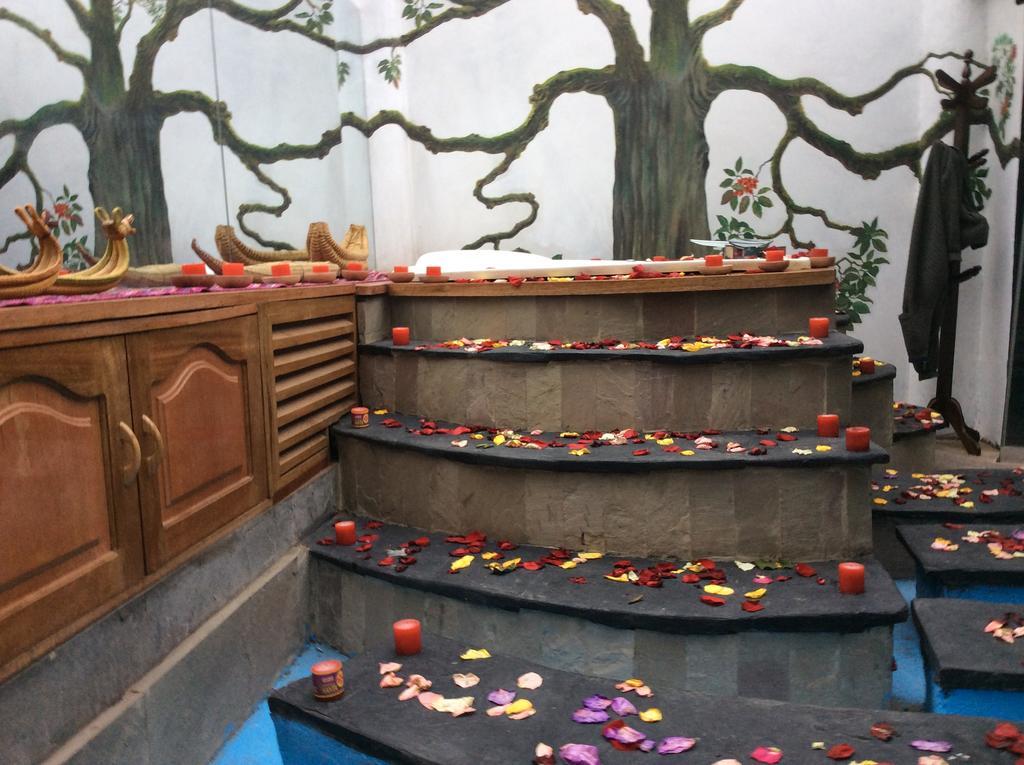 Casa de hóspedes Garden Of San Blas