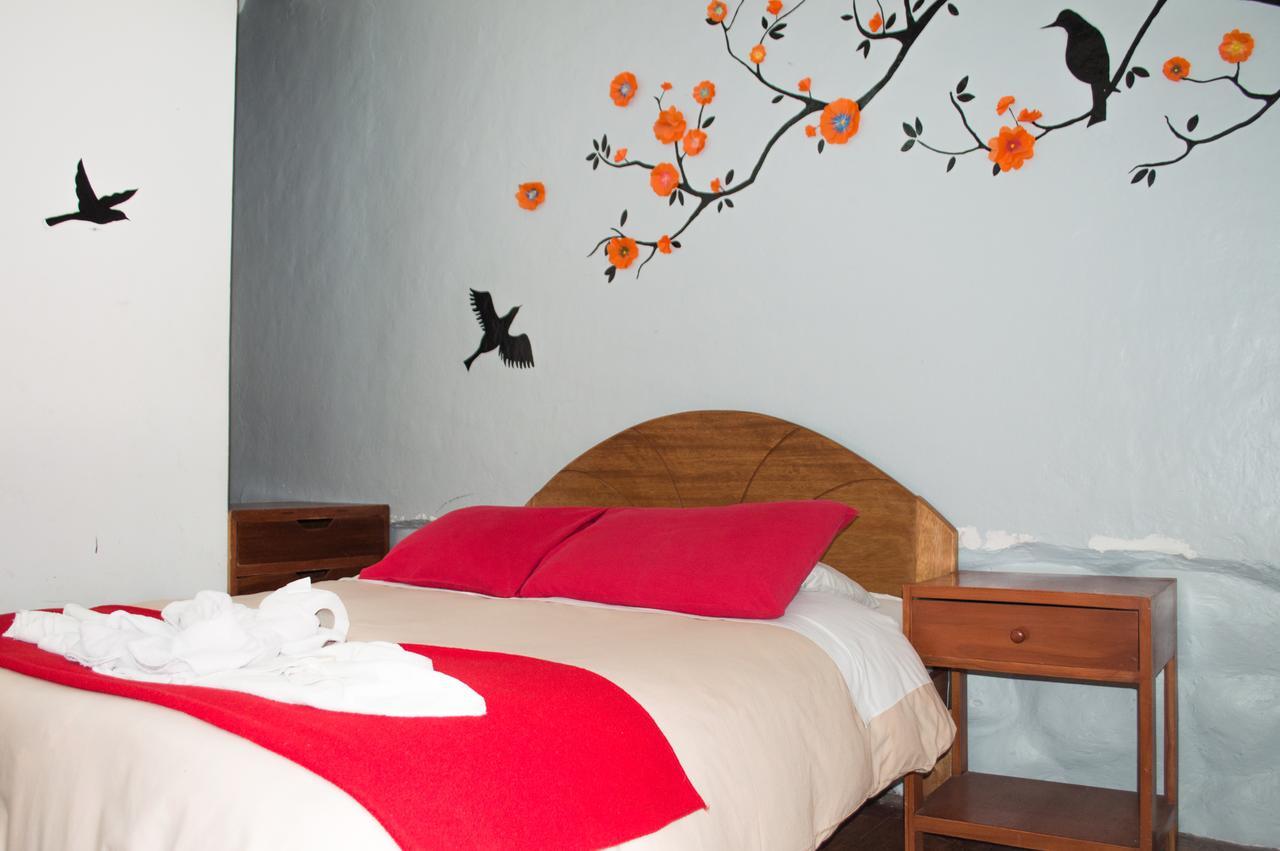 Pirwa Backpackers Colonial Hostal *