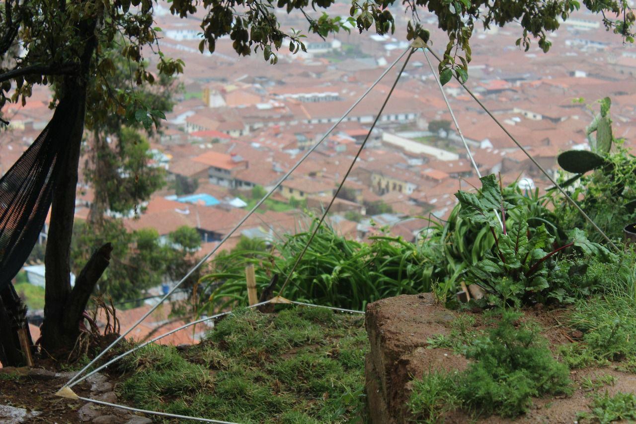 Aguaymanto * Cusco