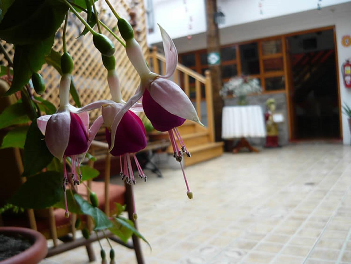 Casa Elena Guest house 2*
