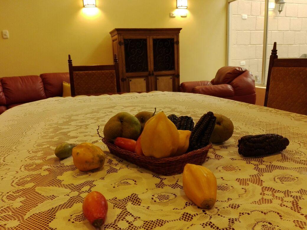 Bed & Breakfast Pikaflor