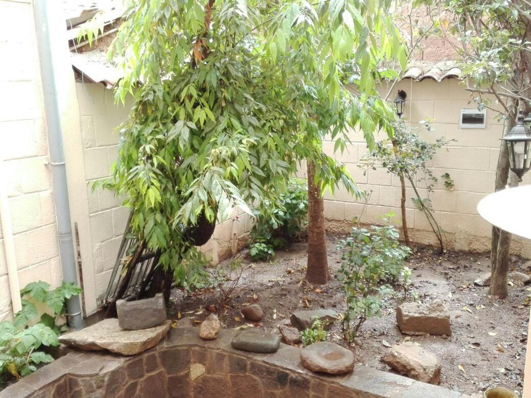 Bed & Breakfast Pikaflor
