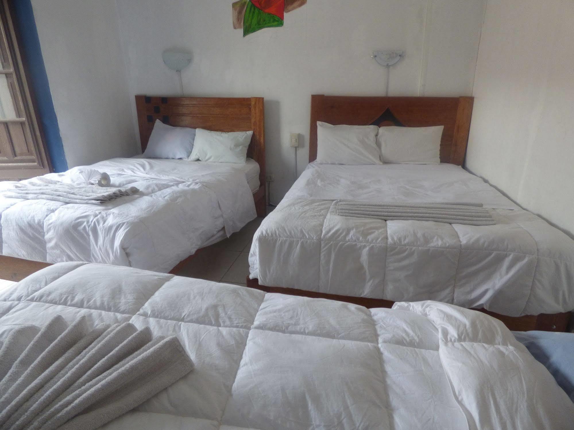Peruvian Bed & Breakfast