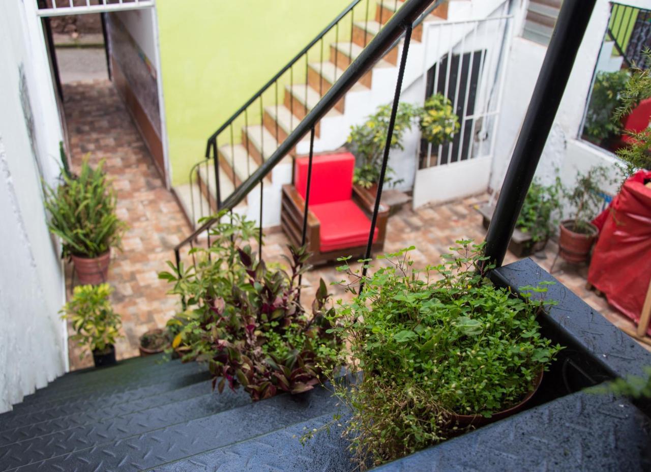 The Grasshopper Hostel