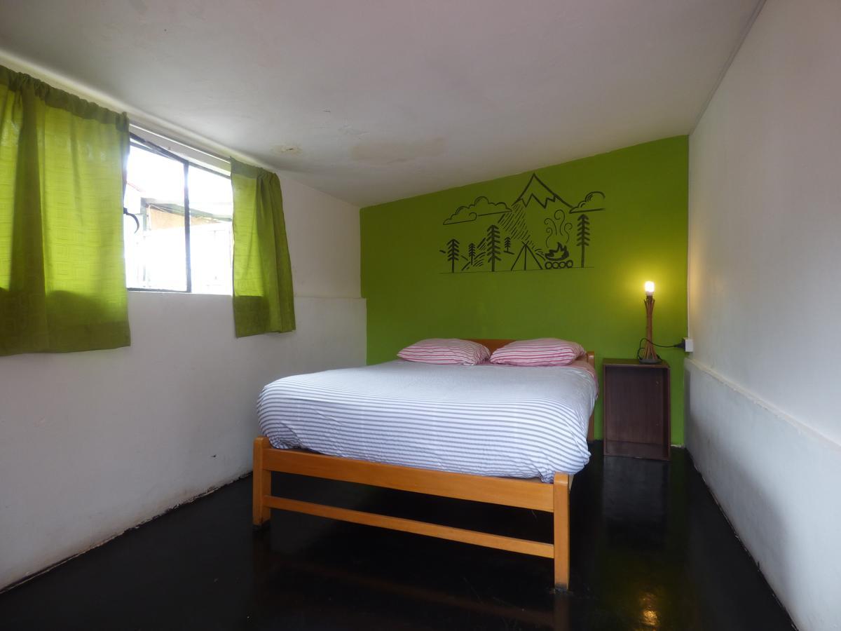 The Grasshopper Hostel