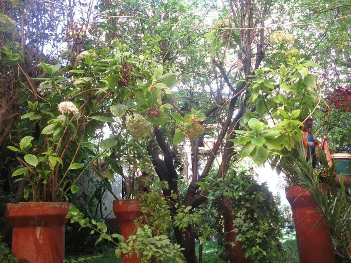 Frühstückspension Secret Garden