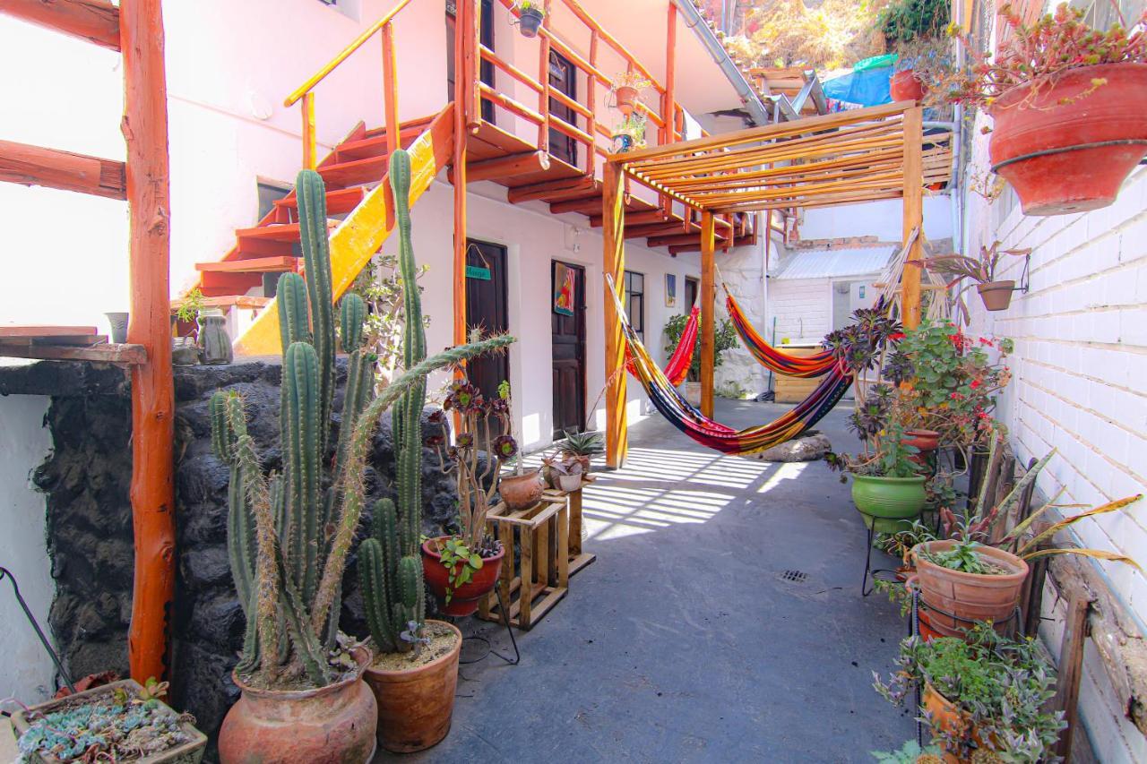 Native Soul Bed & Breakfast *