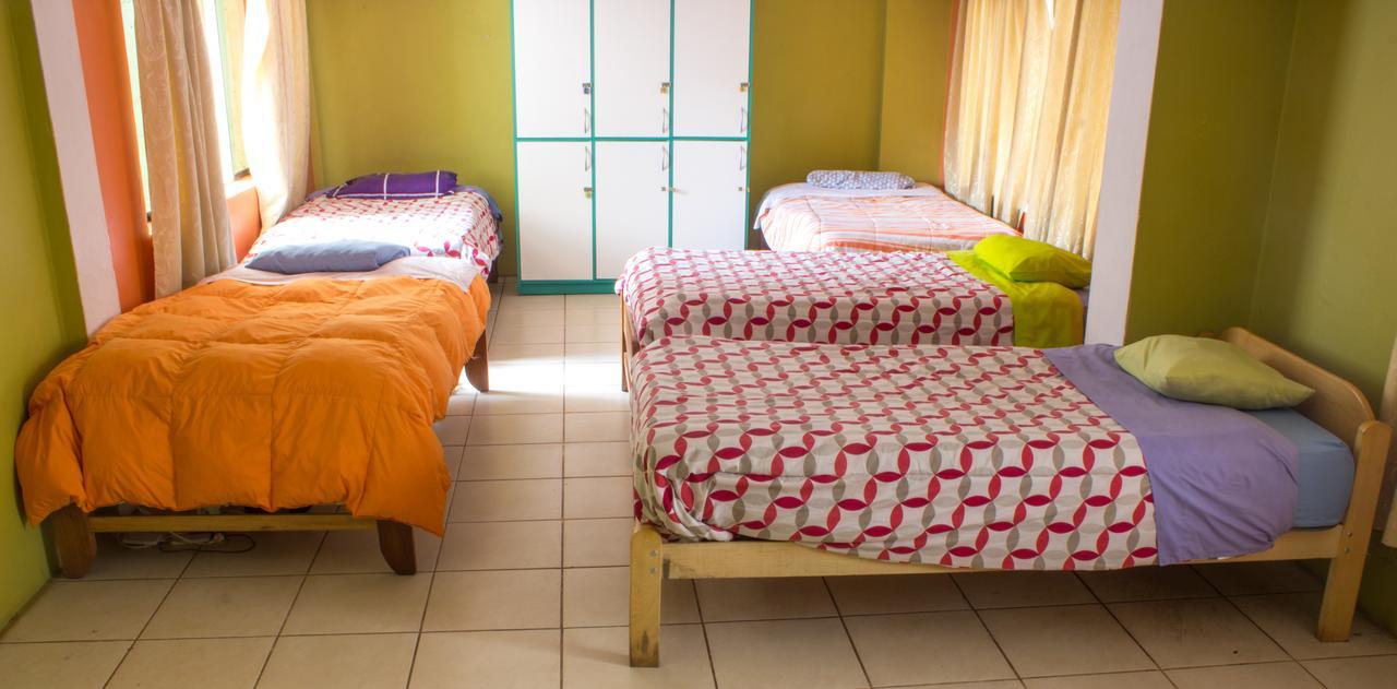 Hostel The Grasshopper *